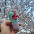 모아 dog | 변기에 바로 버리는 오와 강아지 배변봉투 사용 후기