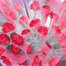 선일태권도장 이미지