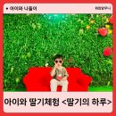 동지농장 | 인천 딸기체험농장 딸기의 하루 예약방법, 후기, 서울근교 아이와 가볼만한곳