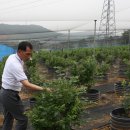 김선길농장 이미지