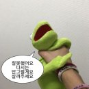 [K리그 직관 후기] 에헤라디야 얼싸 좋다~ 우리팀이 이번시즌 우승이라네🏆
