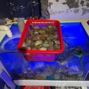 해물시티 이미지