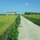 삽교읍041 이미지