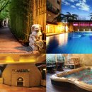 드래곤힐스파 이미지