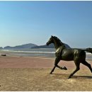 2025 섬 홍매화축제 이미지