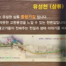 유성천 이미지