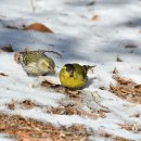 포천머리방 이미지