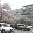 서초2동주민센터 이미지