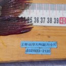 오류내낚시터 이미지