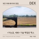 세화컴퍼니