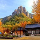 11월 7(금 )-청송사과 체험 / 주왕산 단풍 이미지