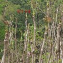 화암농장 이미지