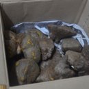 담비농장 | 열매마 담비농장에서 시켜 먹어본 후기