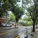 에덴교회 | [나들이02][교회 결혼식 하객 후기] 복정역 선한목자교회 웨딩 & 에덴출장부페 솔직 리뷰 (ATM, 주차...