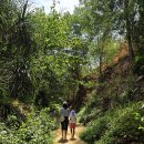 금모래어린이집차량(1대) | 무이네 지프투어, 지프차를 타고 달리는 낭만 여행