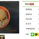 아리까리