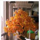 원앙여인숙 이미지