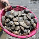 종현어촌체험마을 이미지