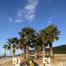 백록 | 노포 감성에 녹아버린 저녁, 제주 함덕해수욕장 맛집 백록집 후기