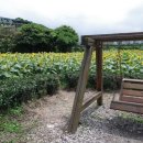 번영로농장 이미지