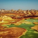 기호목장 이미지