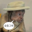 막학기생 개강 16주차: 거국적 종강 그리고...