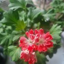 가야농약사 이미지