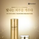 스킨365 이미지