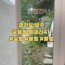멍때리 41 이미지