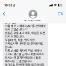 씨앤피(C&P) 네이버블로그