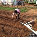 기대농장 이미지