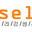 디셀바이