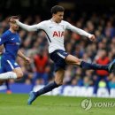 알리와 윌리 이미지