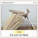 킨즈 뉴이 키즈 캐리어 내돈내산｜타는 캐리어 장단점 후기