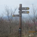 질재로 1 이미지