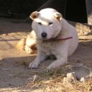 말뚝목장 이미지