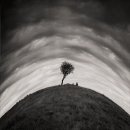 마지막커피 이미지