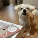 복순이야채과일