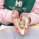 하이컬러미술학원
