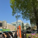 아빠랑 함께한 콜드플레이 콘서트 후기 🎸🌈✨