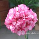 셋,별 이미지