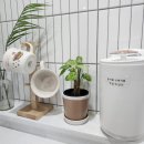 달팽이하우스 이미지