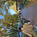 [산책활동] 구암공원1-발레리나의 낙엽 옷 이미지