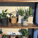 삼성동 코엑스 꽃집 추천, 플라워희가 센터피스 후기