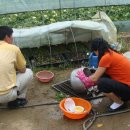 철수 농장 이미지