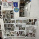 에덴꽃화원 이미지