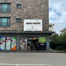 여자 뚜벅이 제주 여행 5박 6일 [3일차] 제주에어비앤비오피스텔, 담아래 , 제주The Pet&#39;s 고양이카페