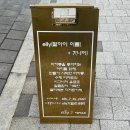 엘리세븐 이미지