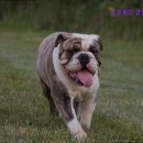 유핏학원 이미지