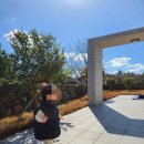 알마레월정 이미지